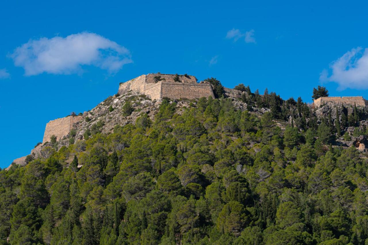 Villa Galini Asos Bagian luar foto